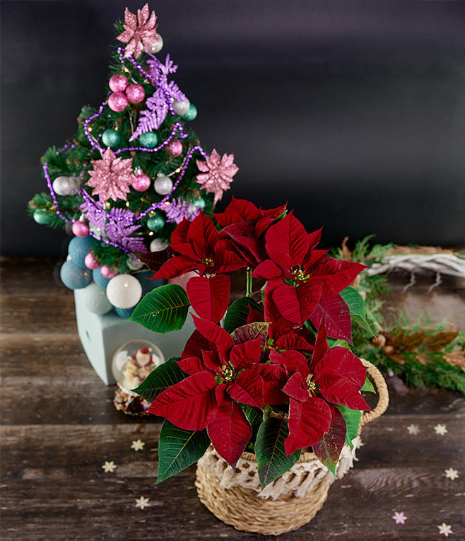 Gift Baskets Gift Baskets