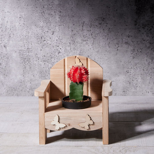 Cactus Makes Perfect, potted plant gift baskets, potted plant gifts, gifts, cactus, succulent