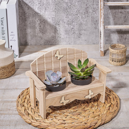 The Gardener's Chair, plant gift, plant, succulent gift, succulent